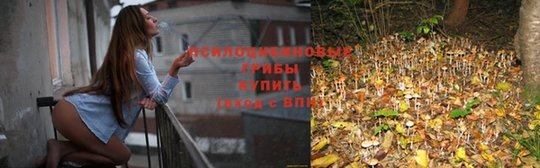 прущая мука Абаза